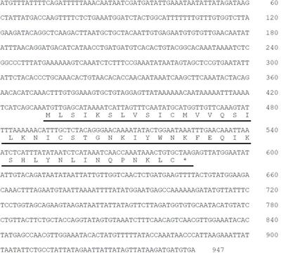 Characterization of a novel species-specific 51-amino acid peptide, PEP51, as a caspase-3/7 activator in ovarian follicles of the ascidian, Ciona intestinalis Type A